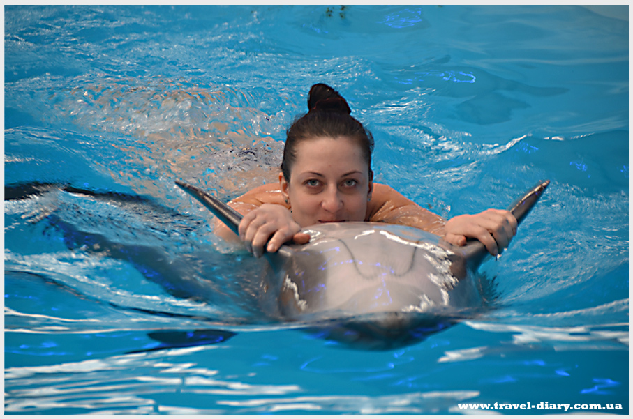 купание с дельфинами в дельфинарии Немо