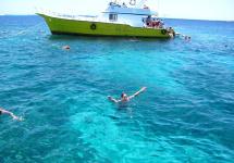 Снорклинг возле рифа