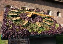 Цветочные часы