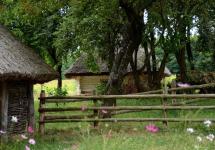 Потонувшие в изобилии зелени и цветов хатки