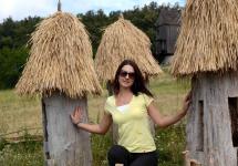 Домики для пчёл