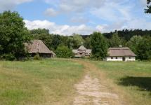 Музей пирогово