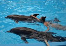 плаваю хи-хи