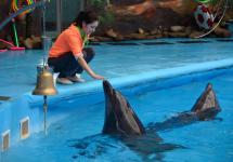 Такими жестами девочка даёт команды