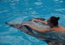 Я на дельфинчике лежу и ножками шевелю.)