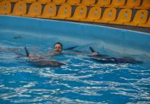 Заряд позитива от дельфинов