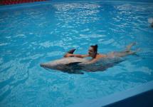 Плавание с дельфинами