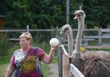 На яйцо реагируют очень бурно