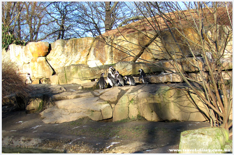 берлинский зоопарк